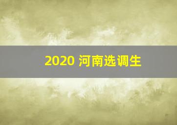 2020 河南选调生